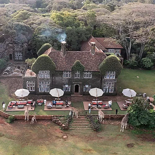 Vue du ciel du Girafe Manor